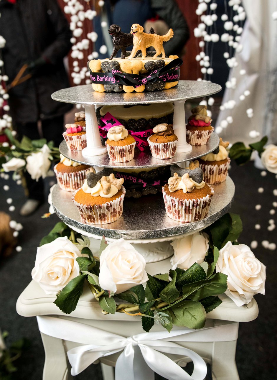 SWNS_DOGGY_WEDDING_03.jpg